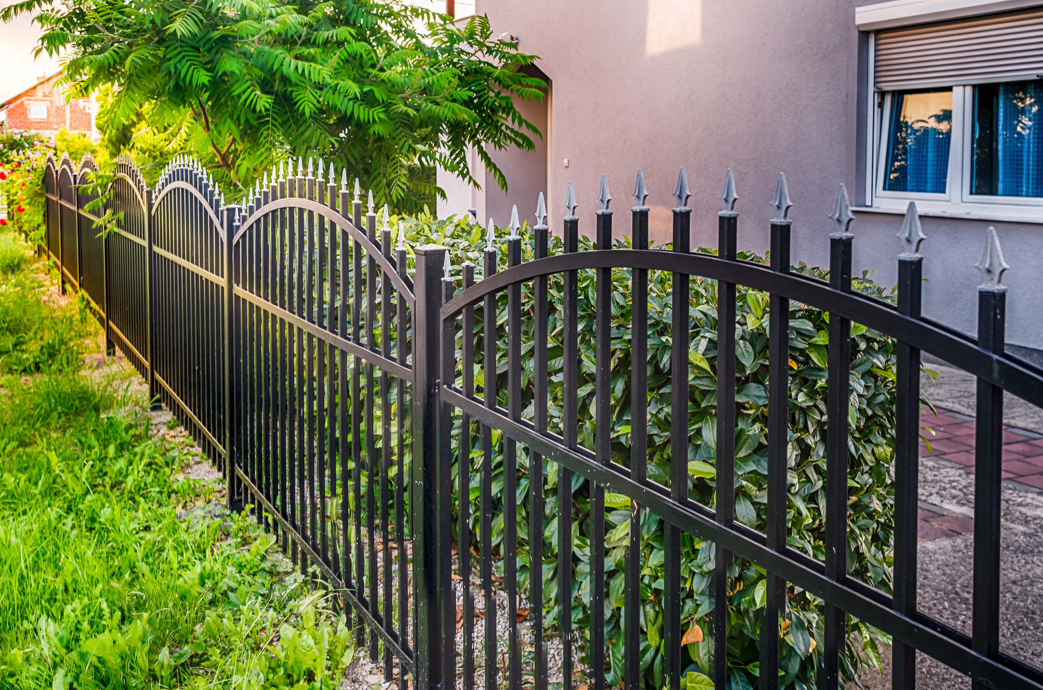 iron fence Decorative Iron Fence