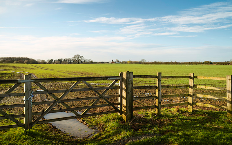 Wood Farm Fence-1136574633 Wooden Farm Fence around field
